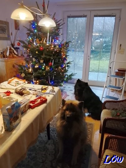 23.12.2025 - Weihnachtsvorbereitung